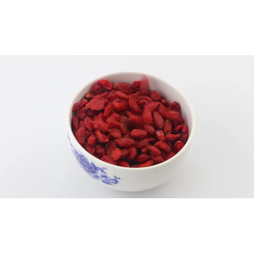 China Wild Organic Premium Quality Factory Wholesale Wolfberry Polysaccharide Powder